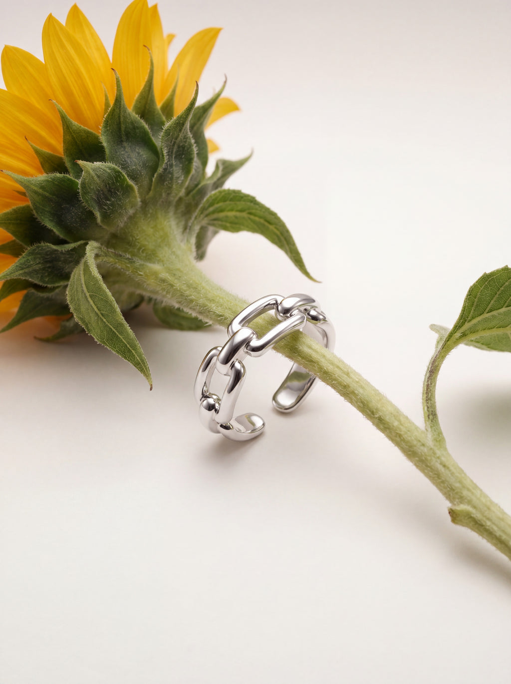 Chain Ring